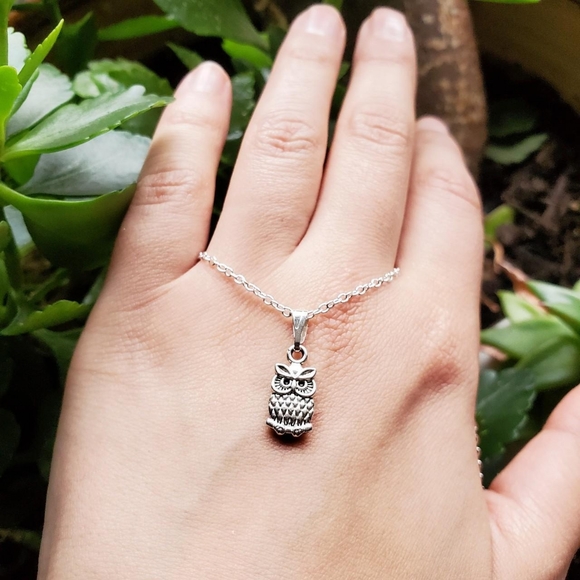 NWOT Silver Howl Necklace - Picture 4 of 14